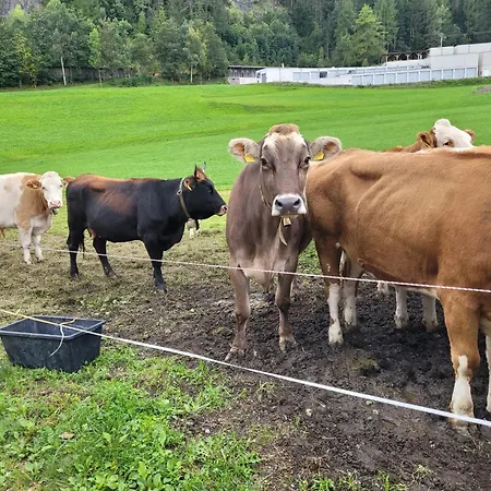 Ferienhof Bichlhof Arzl im Pitztal Buitenkant foto