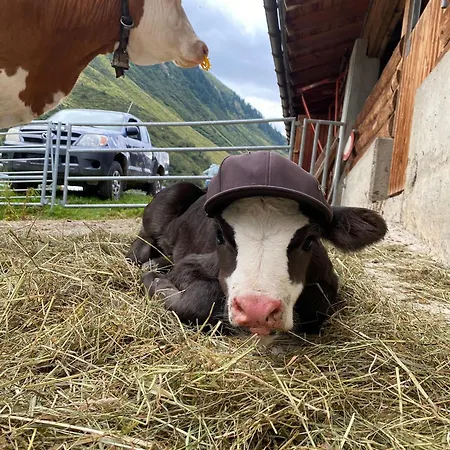 Ferienhof Bichlhof Arzl im Pitztal Buitenkant foto