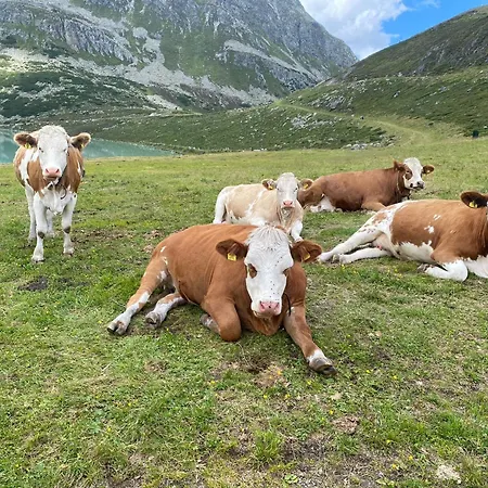 Ferienhof Bichlhof Arzl im Pitztal Kamer foto