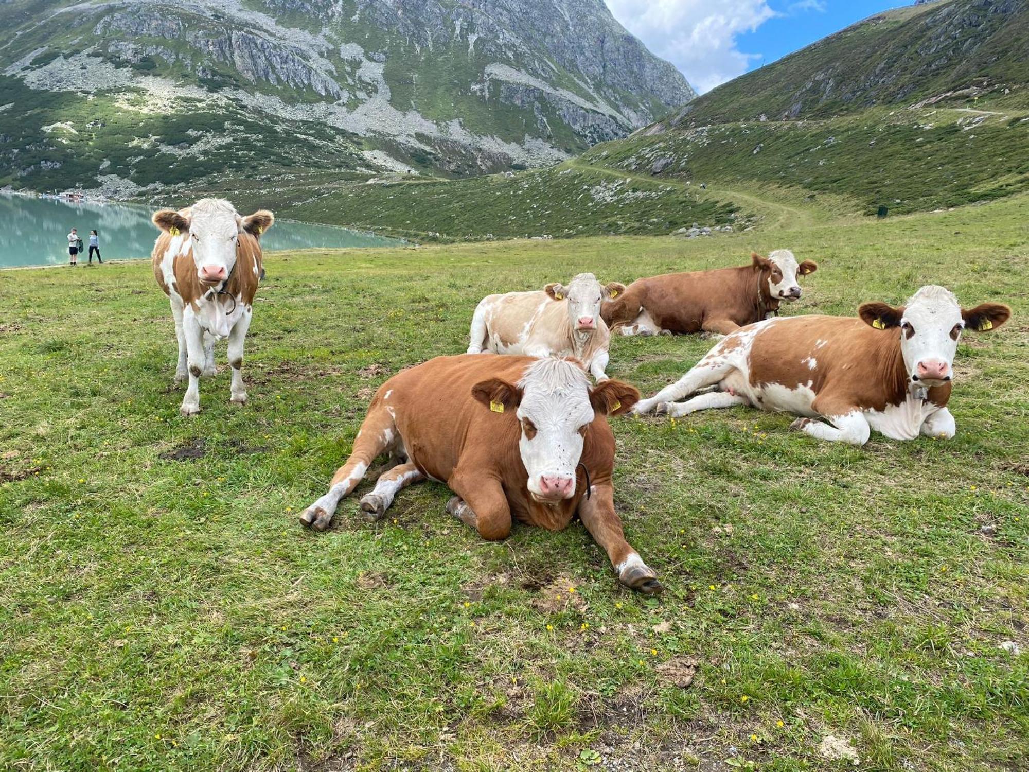 Bichlhof